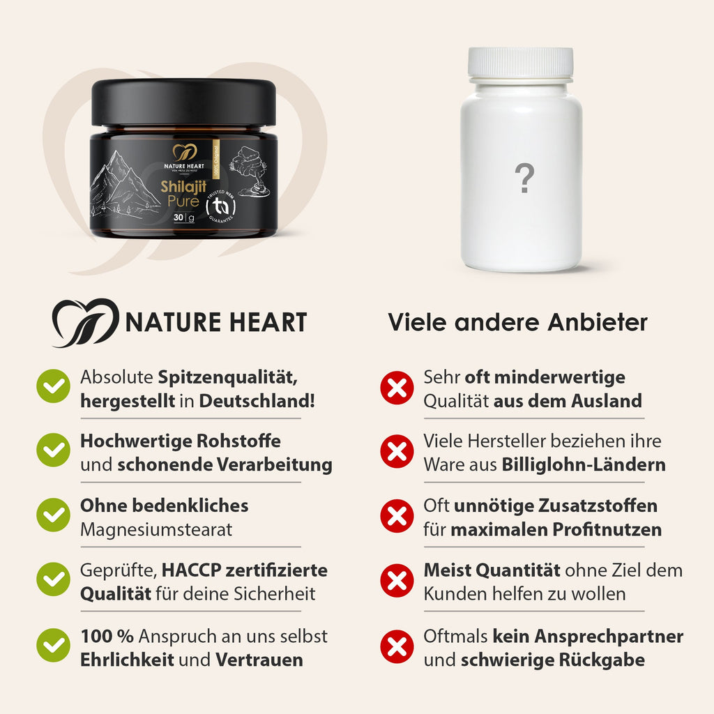 Shilajit Pure (Harz)