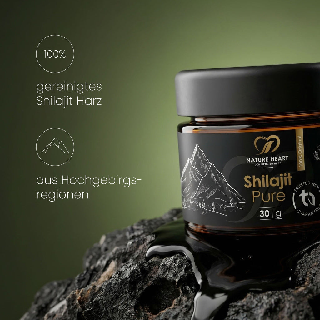 Shilajit Pure (Harz)