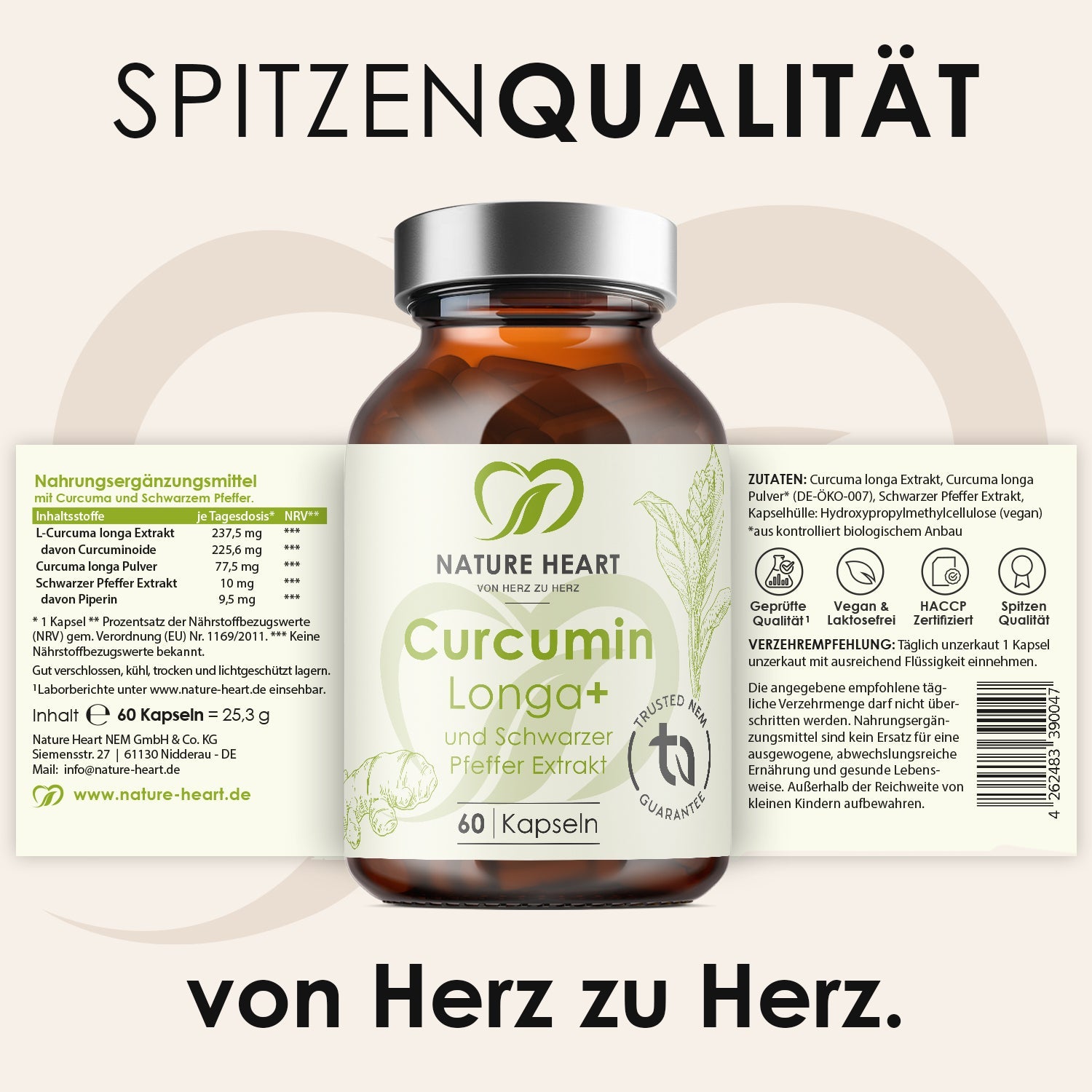Curcumin Longa+